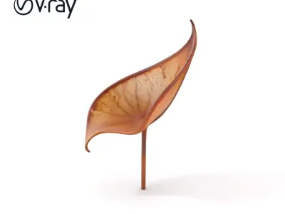 Elegant Leaf Sculpture Model Pack Low-poly 3D model