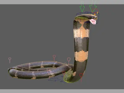 King Cobra Rig Realistic Low-poly 3D model