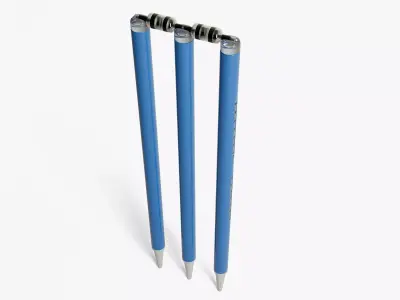 Modern Cricket Wickets 3D model