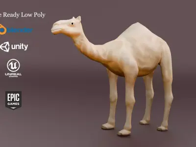 Game Ready Low Poly Camel 3D Model Low-poly 3D model