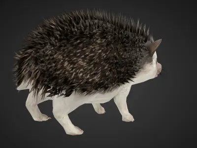 Hegdehog 3D Character Low-poly 3D model