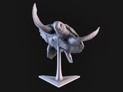 Turtle sculpture of 3D print model