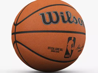NBA Official Game Basketball Ball 3D model