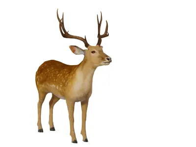 Fallow Deer Low-poly 3D model
