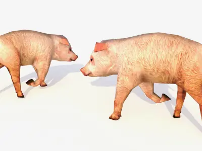 Low-Poly Pig Male Rigged 3D model Low-poly 3D model