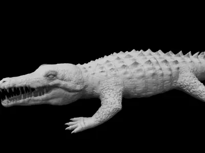 crocodile 3d model alligator 3D model