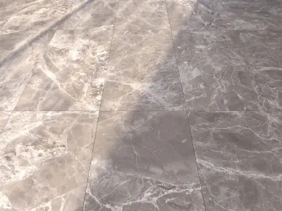 Marble Floor Alpha Greige Set Texture