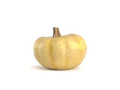 Decorative Pumpkin Gourd 1 3D model