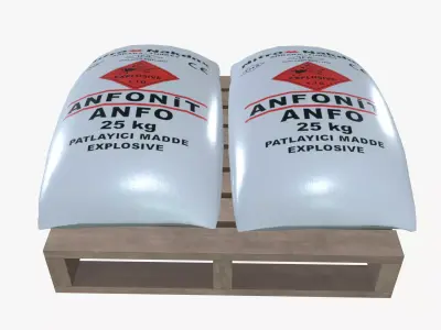 Primary explosive powder bag 3D model