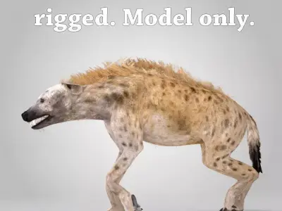 Spotted Hyena Low-poly 3D model