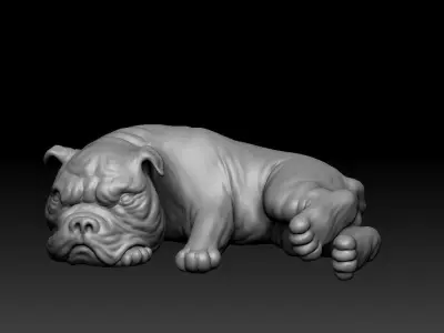 Bull dog   Low-poly 3D model