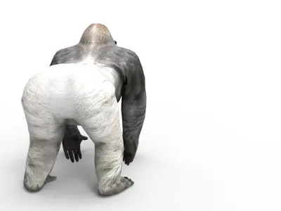  gorilla Rigged 3D Models game ready Low-poly 3D model