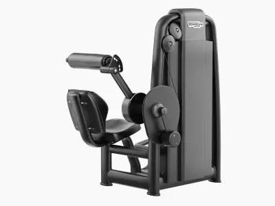 Technogym Selection 700 - Lower Back 3D model