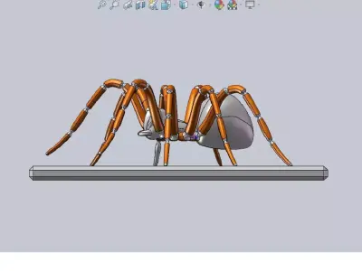 Spider 3D Model 3D model