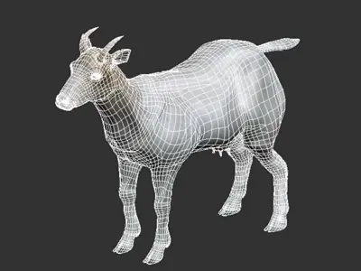 Pack - Domestic Animals Rigged 3D model