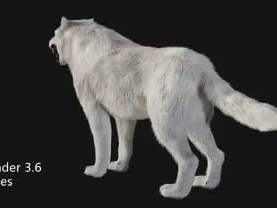 animated arctic wolf Low-poly 3D model
