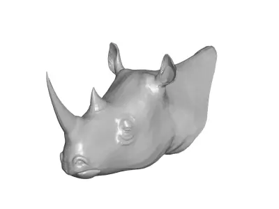 Rhino head 3D model