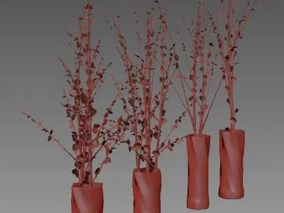 dry decorative plant set 3D model