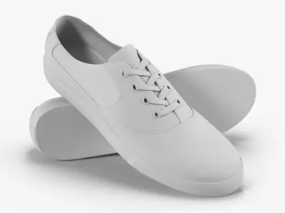 DC Shoes - Flash TX - 10 Colors Low-poly 3D model