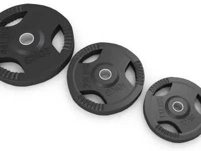 Gym Weight Plates 3D model