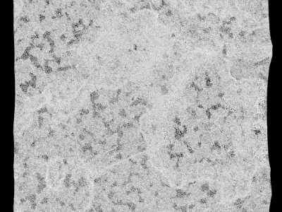 286-RockPanel piece of rock on wall 3D model