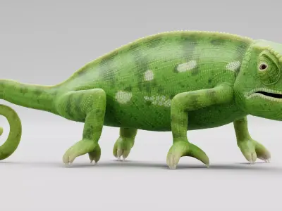 -Flap Necked Chameleon - Chamaeleo Dilepis Rigged- 3D model