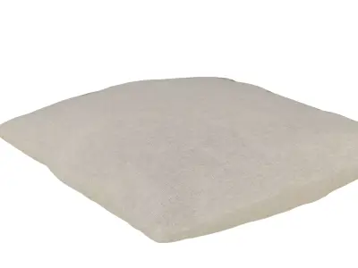 Pillow Free 3D model buy