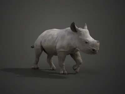 Rhino Baby Animated  VFX Grace 3D model
