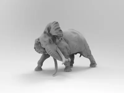 Elephant 3D model 2