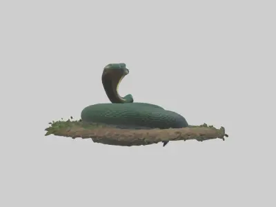 Forest Cobra hiding model 3D model