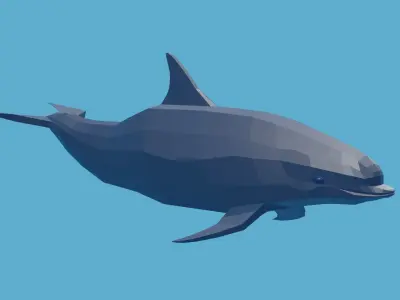 Animated low-poly dolphin for you Low-poly 3D model