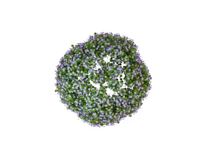 PBR Petunia Flower for Outdoor Environments Low-poly 3D model