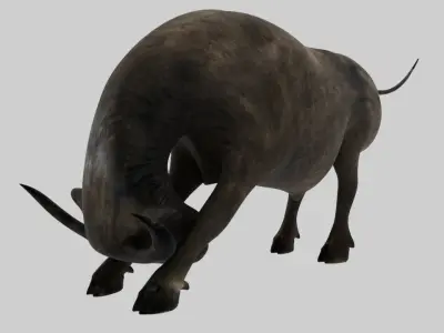 Buffalo Animated VFX Grace Low-poly 3D model