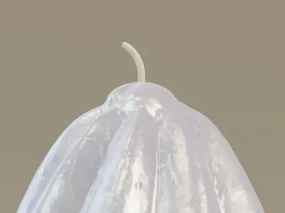  Twisted prolate shape candle  3D model