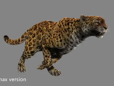 leopard panther puma jaguar Low-poly 3D model