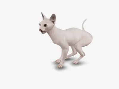 cat sphinx 3D model