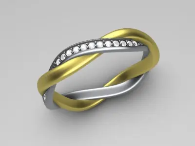 Set of Twisted Rings Sizes 49-58 3D print model