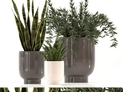 Collection of plants-003 3D model