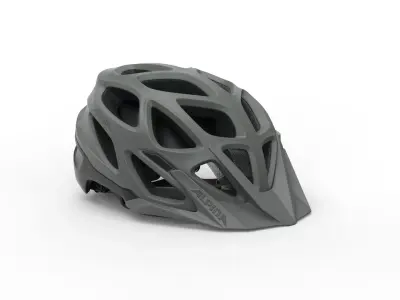 ALPINA Unisex-Adult helmet 3D model