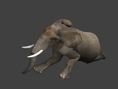 Elephant with tusks Low-poly 3D model shop