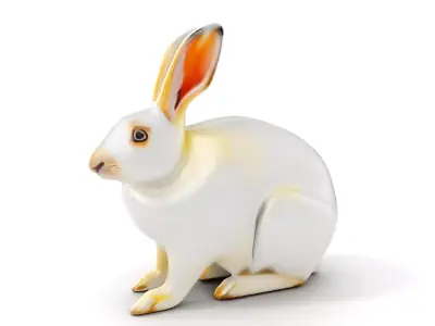 Realistic Rabbit Model Pack for D Rendering and Games Low-poly 3D model
