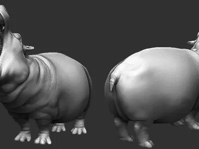 Hippopotamus  Sculpt 3D model
