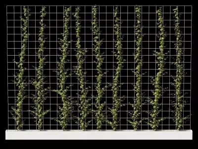 Vertical plant partition 3D model