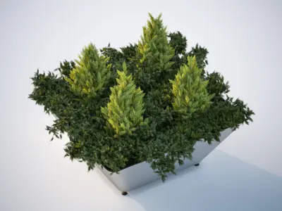 Lush green bush in planter 3D model