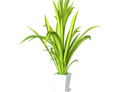 Houseplant collection 4 plant in pot 3D model