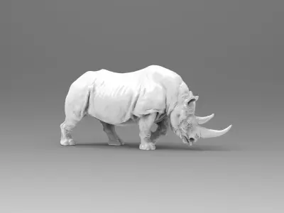 Rhino 3D model shop