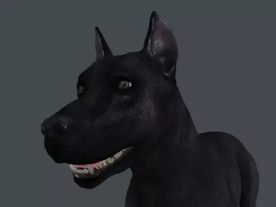 MDOG-004 Walking Animation 3D model