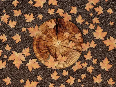 Display Podium Autumn Leaf top view 3D model