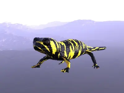 Tiger Salamander 3D model