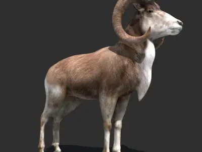 Goat Rigged 01 3D model
